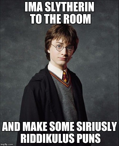 Harry Potter | IMA SLYTHERIN TO THE ROOM; AND MAKE SOME SIRIUSLY RIDDIKULUS PUNS | image tagged in harry potter | made w/ Imgflip meme maker