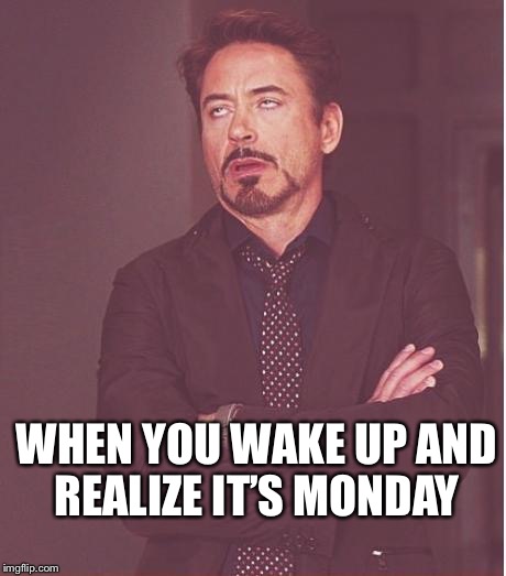 Face You Make Robert Downey Jr | WHEN YOU WAKE UP AND REALIZE IT’S MONDAY | image tagged in memes,face you make robert downey jr | made w/ Imgflip meme maker
