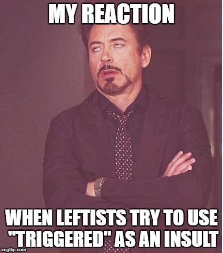 Face You Make Robert Downey Jr Meme | MY REACTION; WHEN LEFTISTS TRY TO USE "TRIGGERED" AS AN INSULT | image tagged in memes,face you make robert downey jr | made w/ Imgflip meme maker