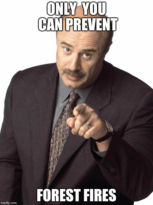 Dr Phil Pointing | ONLY  YOU CAN PREVENT; FOREST FIRES | image tagged in dr phil pointing | made w/ Imgflip meme maker