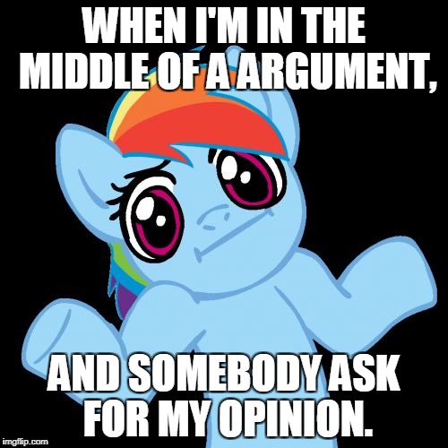 Pony Shrugs | WHEN I'M IN THE MIDDLE OF A ARGUMENT, AND SOMEBODY ASK FOR MY OPINION. | image tagged in memes,pony shrugs | made w/ Imgflip meme maker