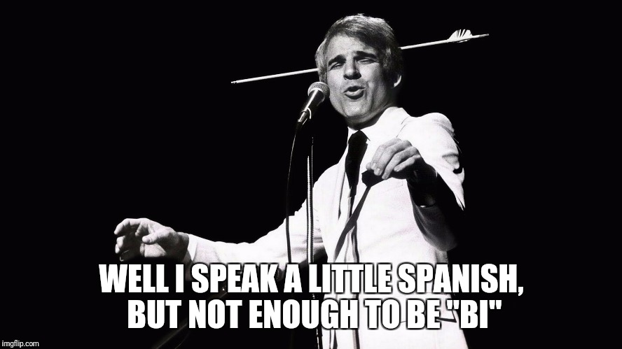 WELL I SPEAK A LITTLE SPANISH, BUT NOT ENOUGH TO BE "BI" | made w/ Imgflip meme maker