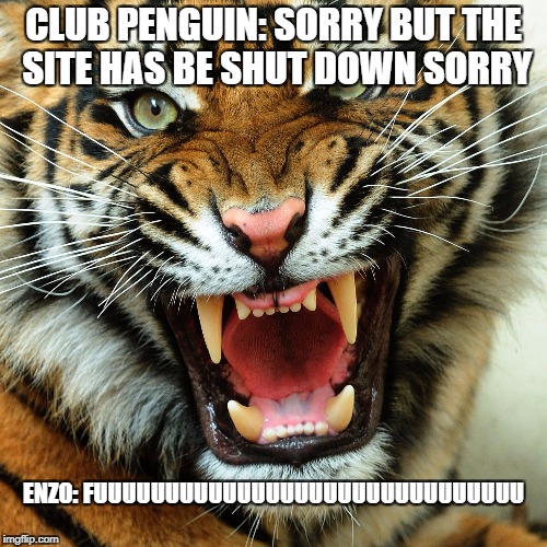 CLUB PENGUIN: SORRY BUT THE SITE HAS BE SHUT DOWN SORRY; ENZO: FUUUUUUUUUUUUUUUUUUUUUUUUUUUUUU | image tagged in club penguin crash | made w/ Imgflip meme maker