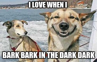 bark bark boi | I LOVE WHEN I; BARK BARK IN THE DARK DARK | image tagged in memes,original stoner dog | made w/ Imgflip meme maker