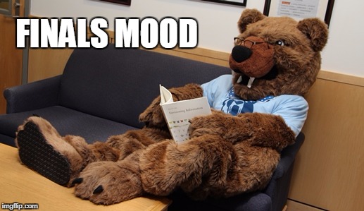 mascot kody finals mood | FINALS MOOD | image tagged in finals,finals week,studying,community college,cascadia college,mood | made w/ Imgflip meme maker