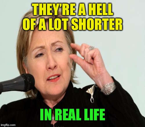 THEY’RE A HELL OF A LOT SHORTER IN REAL LIFE | made w/ Imgflip meme maker