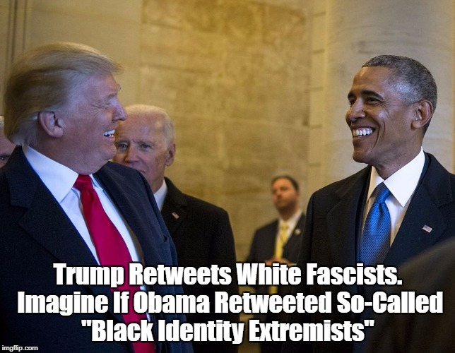 Image result for trump fascist pax on both houses