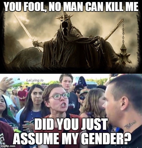 YOU FOOL, NO MAN CAN KILL ME; DID YOU JUST ASSUME MY GENDER? | image tagged in memes,lord of the rings,triggered,feminism | made w/ Imgflip meme maker