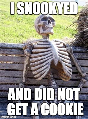 Waiting Skeleton Meme | I SNOOKYED; AND DID NOT GET A COOKIE | image tagged in memes,waiting skeleton | made w/ Imgflip meme maker