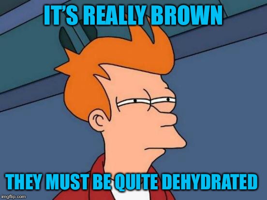 Futurama Fry Meme | IT’S REALLY BROWN THEY MUST BE QUITE DEHYDRATED | image tagged in memes,futurama fry | made w/ Imgflip meme maker