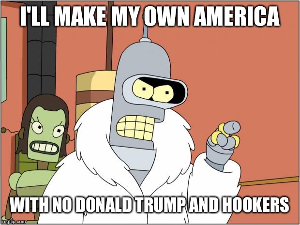 Bender | I'LL MAKE MY OWN AMERICA; WITH NO DONALD TRUMP AND HOOKERS | image tagged in memes,bender | made w/ Imgflip meme maker