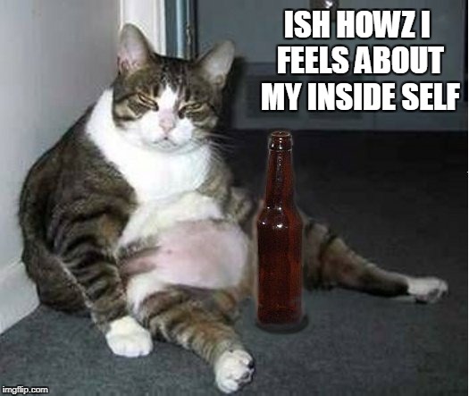 ISH HOWZ I FEELS ABOUT MY INSIDE SELF | made w/ Imgflip meme maker
