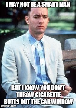 Forest gump | I MAY NOT BE A SMART MAN; BUT I KNOW YOU DON'T THROW CIGARETTE BUTTS OUT THE CAR WINDOW | image tagged in forest gump | made w/ Imgflip meme maker