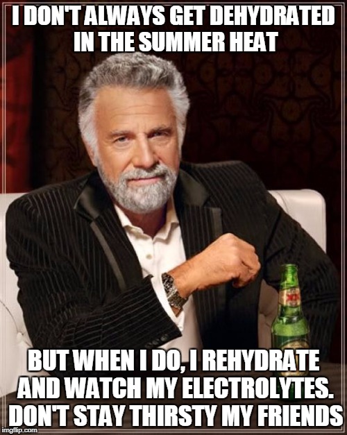 The Most Interesting Man In The World Meme | I DON'T ALWAYS GET DEHYDRATED IN THE SUMMER HEAT; BUT WHEN I DO, I REHYDRATE AND WATCH MY ELECTROLYTES. DON'T STAY THIRSTY MY FRIENDS | image tagged in memes,the most interesting man in the world | made w/ Imgflip meme maker