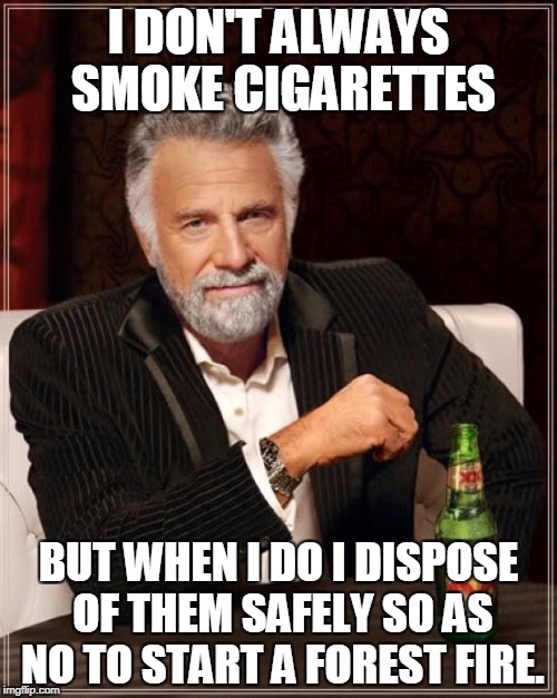 The Most Interesting Man In The World Meme | I DON'T ALWAYS SMOKE CIGARETTES; BUT WHEN I DO I DISPOSE OF THEM SAFELY SO AS NO TO START A FOREST FIRE. | image tagged in memes,the most interesting man in the world | made w/ Imgflip meme maker