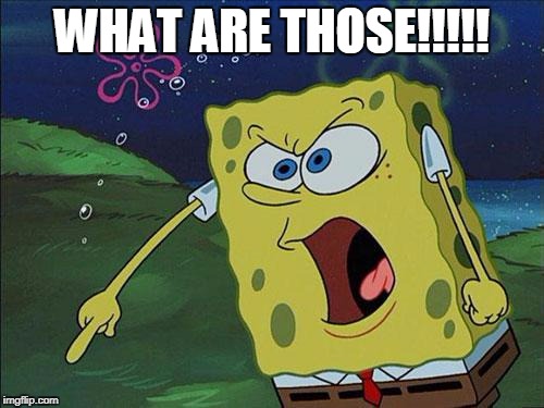 spongebob | WHAT ARE THOSE!!!!! | image tagged in spongebob | made w/ Imgflip meme maker