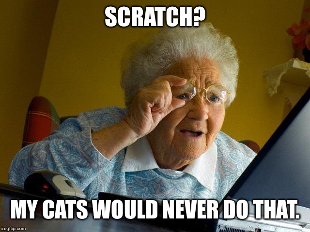 I'm talking about the programming language. | SCRATCH? MY CATS WOULD NEVER DO THAT. | image tagged in memes,grandma finds the internet,scratch,cats | made w/ Imgflip meme maker