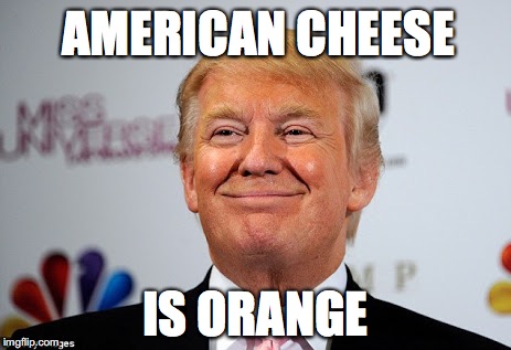 Donald trump approves | AMERICAN CHEESE; IS ORANGE | image tagged in donald trump approves | made w/ Imgflip meme maker