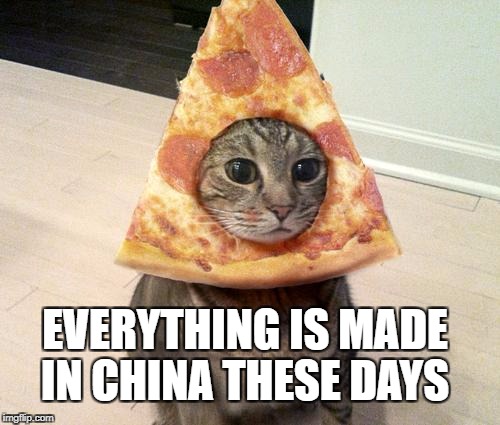 pizza cat | EVERYTHING IS MADE IN CHINA THESE DAYS | image tagged in pizza cat | made w/ Imgflip meme maker