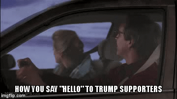 hello | HOW YOU SAY "HELLO" TO TRUMP SUPPORTERS | image tagged in gifs,donald trump | made w/ Imgflip video-to-gif maker