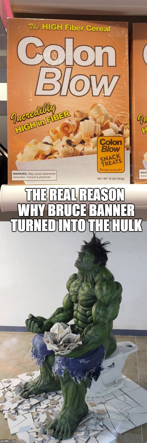 fiber effects | THE REAL REASON WHY BRUCE BANNER TURNED INTO THE HULK | image tagged in bruce banner | made w/ Imgflip meme maker