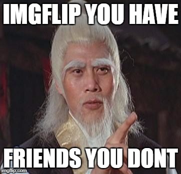 true :(     BUT WORTH IT !!! | IMGFLIP YOU HAVE; FRIENDS YOU DONT | image tagged in wise kung fu master,memes,funny,true,ssby | made w/ Imgflip meme maker