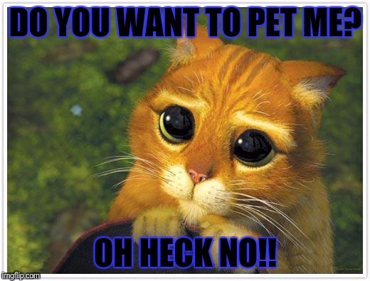 Shrek Cat Meme | DO YOU WANT TO PET ME? OH HECK NO!! | image tagged in memes,shrek cat | made w/ Imgflip meme maker