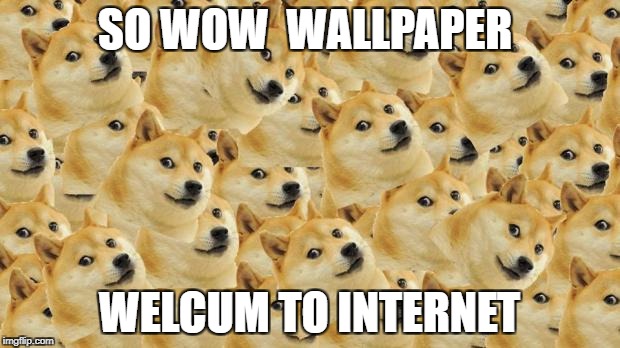 Multi Doge Meme | SO WOW

WALLPAPER; WELCUM TO INTERNET | image tagged in memes,multi doge | made w/ Imgflip meme maker