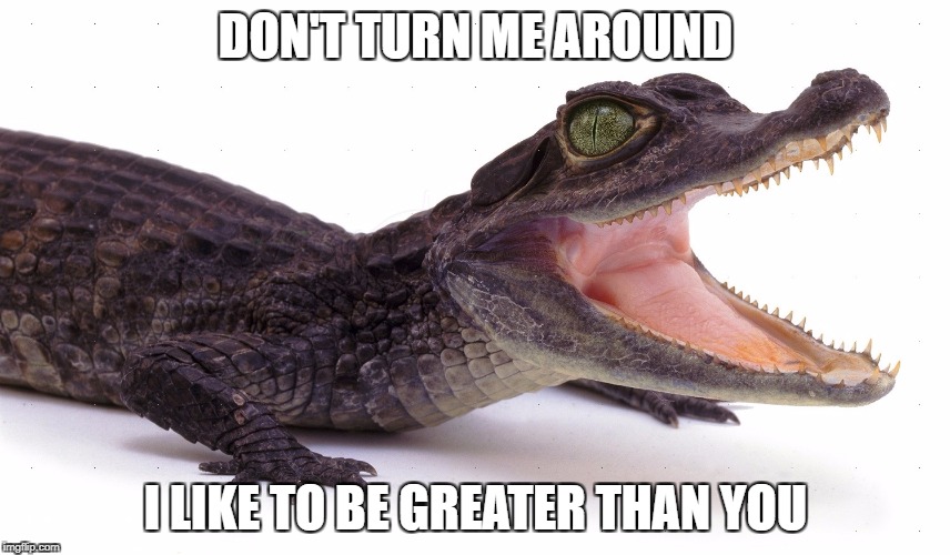 DON'T TURN ME AROUND; I LIKE TO BE GREATER THAN YOU | image tagged in croc | made w/ Imgflip meme maker