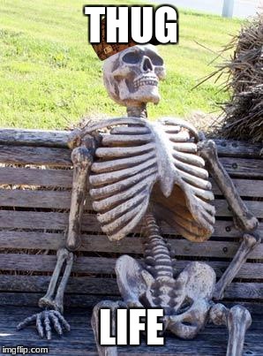 Waiting Skeleton Meme | THUG; LIFE | image tagged in memes,waiting skeleton,scumbag | made w/ Imgflip meme maker