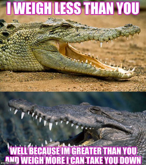 I WEIGH LESS THAN YOU; WELL BECAUSE IM GREATER THAN YOU AND WEIGH MORE I CAN TAKE YOU DOWN | image tagged in satisfied seal | made w/ Imgflip meme maker