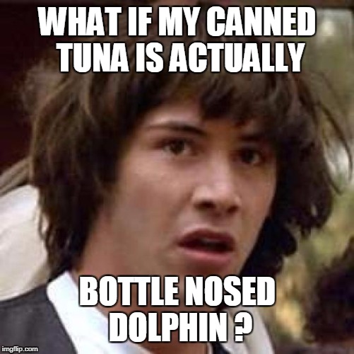 Conspiracy Keanu Meme | WHAT IF MY CANNED TUNA IS ACTUALLY BOTTLE NOSED DOLPHIN ? | image tagged in memes,conspiracy keanu | made w/ Imgflip meme maker