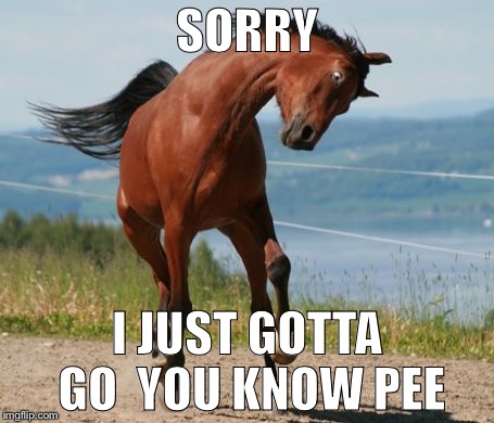Horse | SORRY; I JUST GOTTA GO  YOU KNOW PEE | image tagged in horse | made w/ Imgflip meme maker