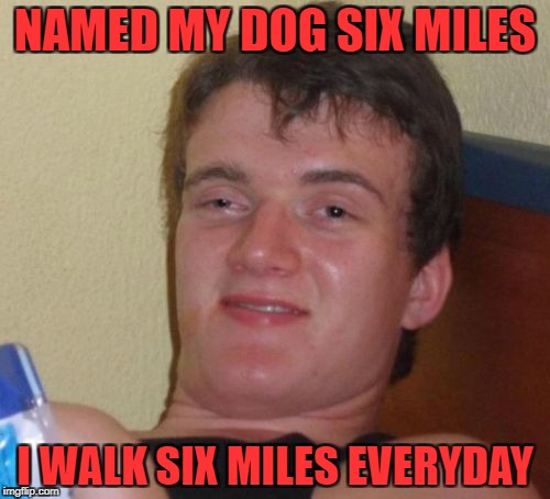 10 Guy Meme | NAMED MY DOG SIX MILES; I WALK SIX MILES EVERYDAY | image tagged in memes,10 guy | made w/ Imgflip meme maker