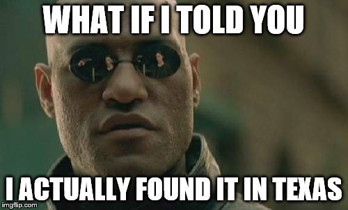 Matrix Morpheus Meme | WHAT IF I TOLD YOU I ACTUALLY FOUND IT IN TEXAS | image tagged in memes,matrix morpheus | made w/ Imgflip meme maker