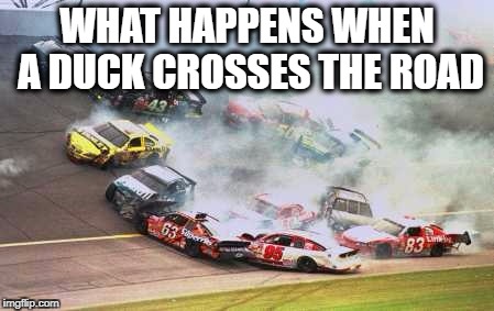Because Race Car Meme | WHAT HAPPENS WHEN A DUCK CROSSES THE ROAD | image tagged in memes,because race car | made w/ Imgflip meme maker
