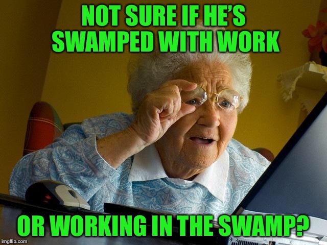 Grandma Finds The Internet Meme | NOT SURE IF HE’S SWAMPED WITH WORK OR WORKING IN THE SWAMP? | image tagged in memes,grandma finds the internet | made w/ Imgflip meme maker