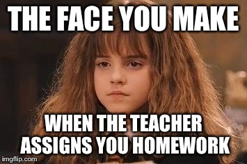 Harry Potter - Miss Granger is NOT amused | THE FACE YOU MAKE; WHEN THE TEACHER ASSIGNS YOU HOMEWORK | image tagged in harry potter - miss granger is not amused | made w/ Imgflip meme maker