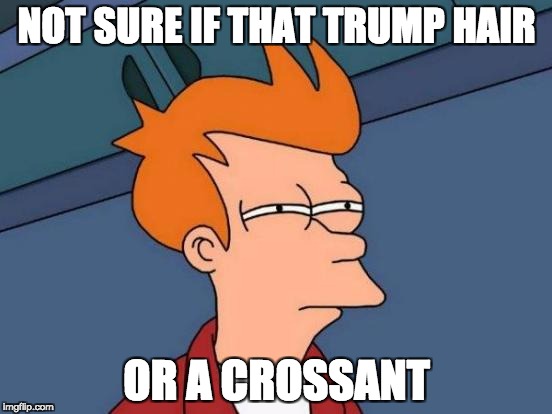 Futurama Fry Meme | NOT SURE IF THAT TRUMP HAIR; OR A CROSSANT | image tagged in memes,futurama fry | made w/ Imgflip meme maker