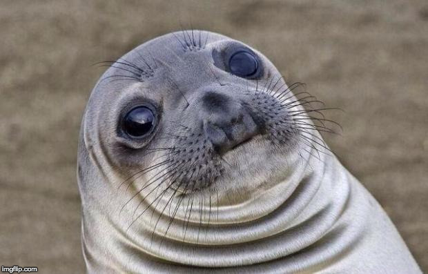 When you have no ideas so you hope a blank meme can just sneak its way onto the front page. | image tagged in memes,awkward moment sealion,imgflip,front page | made w/ Imgflip meme maker