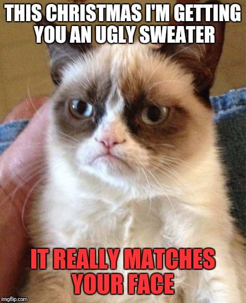 A very grumpy Christmas gift | THIS CHRISTMAS I'M GETTING YOU AN UGLY SWEATER; IT REALLY MATCHES YOUR FACE | image tagged in memes,grumpy cat,christmas | made w/ Imgflip meme maker