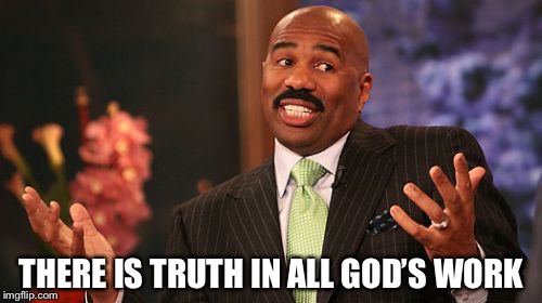 Steve Harvey Meme | THERE IS TRUTH IN ALL GOD’S WORK | image tagged in memes,steve harvey | made w/ Imgflip meme maker