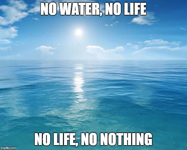 ocean | NO WATER, NO LIFE; NO LIFE, NO NOTHING | image tagged in ocean | made w/ Imgflip meme maker