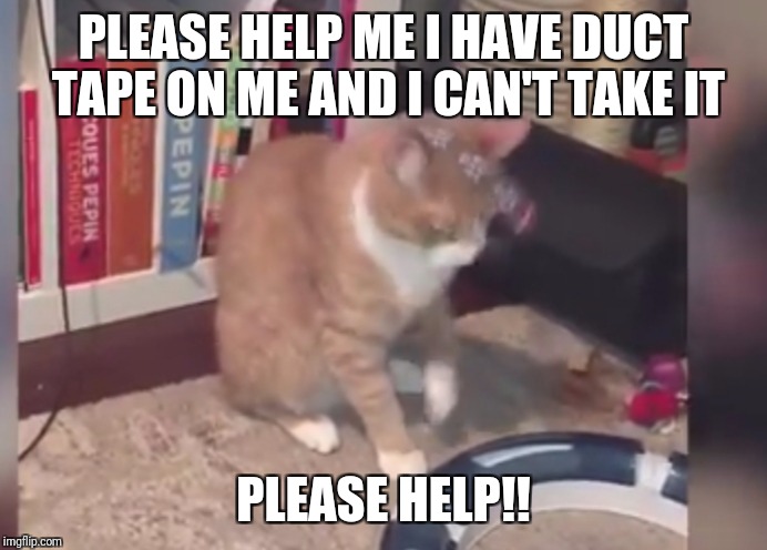 This is my jokes | PLEASE HELP ME I HAVE DUCT TAPE ON ME AND I CAN'T TAKE IT; PLEASE HELP!! | image tagged in funny | made w/ Imgflip meme maker