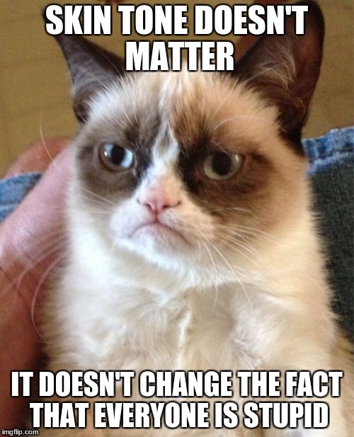 Grumpy Cat Meme | SKIN TONE DOESN'T MATTER IT DOESN'T CHANGE THE FACT THAT EVERYONE IS STUPID | image tagged in memes,grumpy cat | made w/ Imgflip meme maker