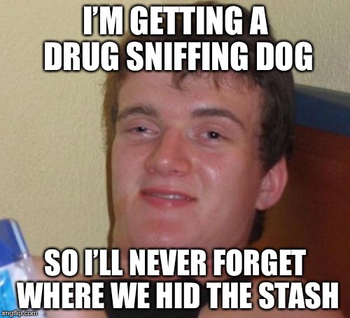 10 Guy Meme | I’M GETTING A DRUG SNIFFING DOG; SO I’LL NEVER FORGET WHERE WE HID THE STASH | image tagged in memes,10 guy | made w/ Imgflip meme maker