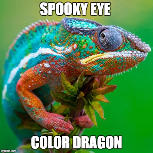 spooky eye color dragon | SPOOKY EYE; COLOR DRAGON | image tagged in animals,silly,reptile | made w/ Imgflip meme maker