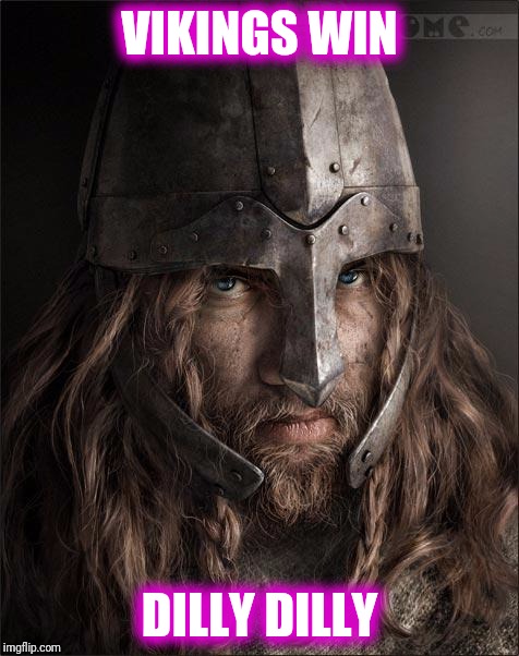 viking | VIKINGS WIN; DILLY DILLY | image tagged in viking | made w/ Imgflip meme maker