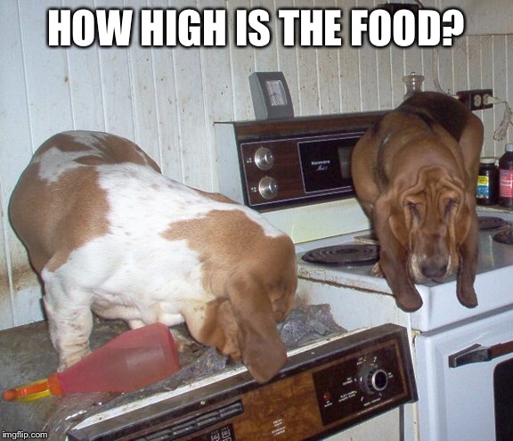 HOW HIGH IS THE FOOD? | made w/ Imgflip meme maker