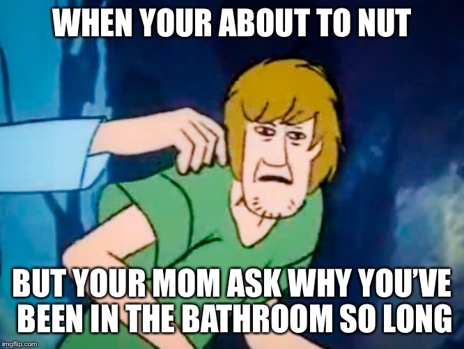 Shaggy meme | WHEN YOUR ABOUT TO NUT; BUT YOUR MOM ASK WHY YOU’VE BEEN IN THE BATHROOM SO LONG | image tagged in shaggy meme | made w/ Imgflip meme maker